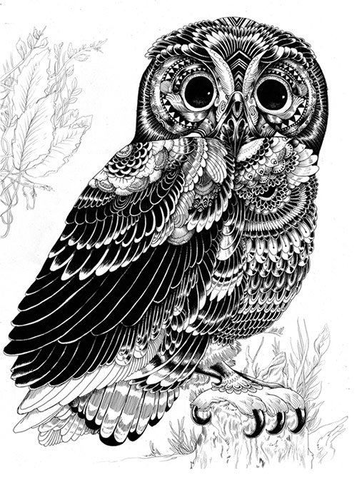 Designs Article: Incredibly Amazing Animal Illustrations