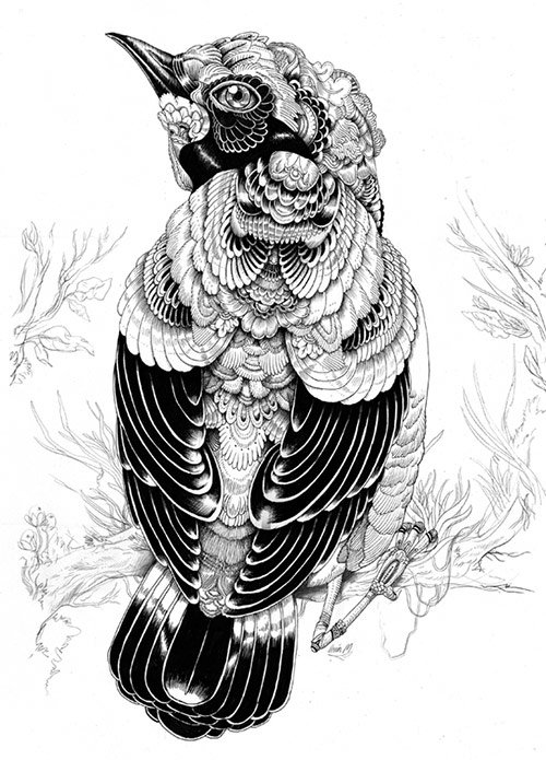 03 AnimalDrawing in Incredibly Amazing Animal Illustrations by Iain Macarthur