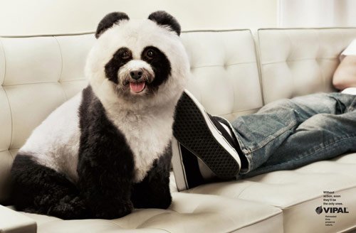 33 VIPAL Environmental Awareness Panda in 40 Creative Advertisements Using Animals