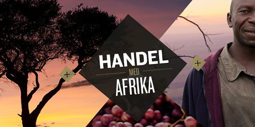 handelmedafrika in 30 Creative Flash Websites for Inspiration