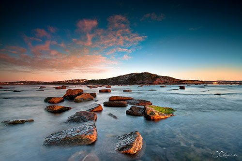 Looking Back in Nature Photography