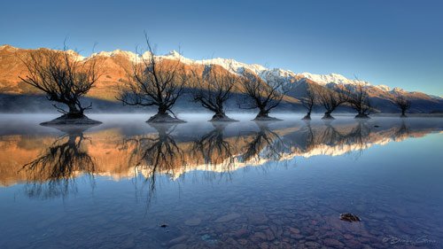 new-zealand-photos-6.jpg