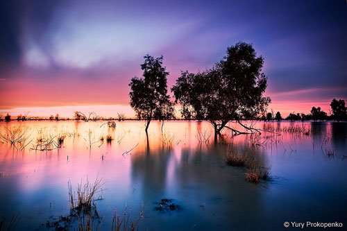 Australia - Outback - Lake Pamamaroo