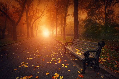 Bench in foggy autumn park