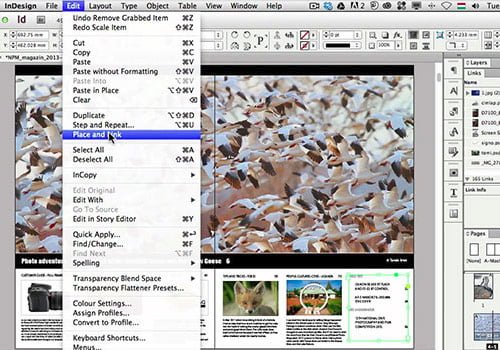 Free Download Tutorial Adobe Indesign Bahasa Indonesia Language