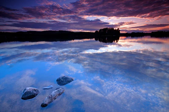 Colorful Dreams | Nature Photography