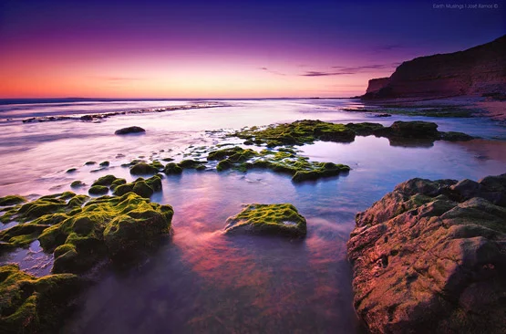 Earth Musings | Nature | Landscape | Seascape