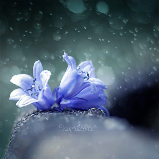 Singing in the Rain