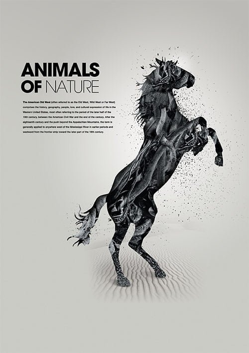 Animals of Nature