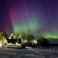 northern lights or aurora borealis pictures