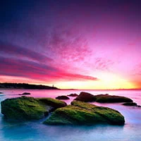Nature Photography