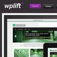 learn wordpress development