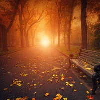 autumn pictures
