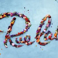 typography design inspiration 13