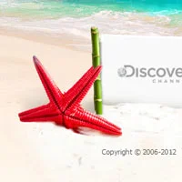 footers designs
