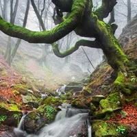 landscape photography