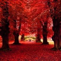 Nature Photography 1