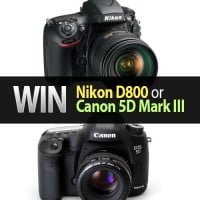 win nikon d800 or canon 5d mark iii