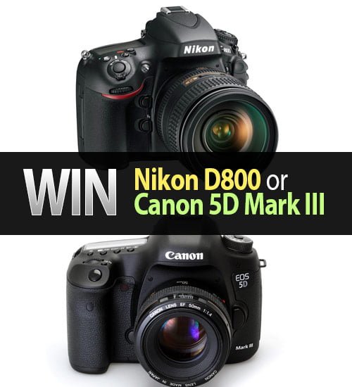 win nikon d800 or canon 5d mark iii