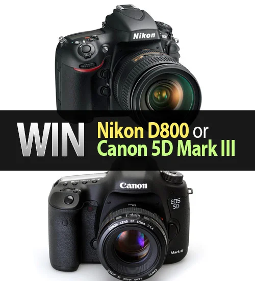 win nikon d800 or canon 5d mark iii