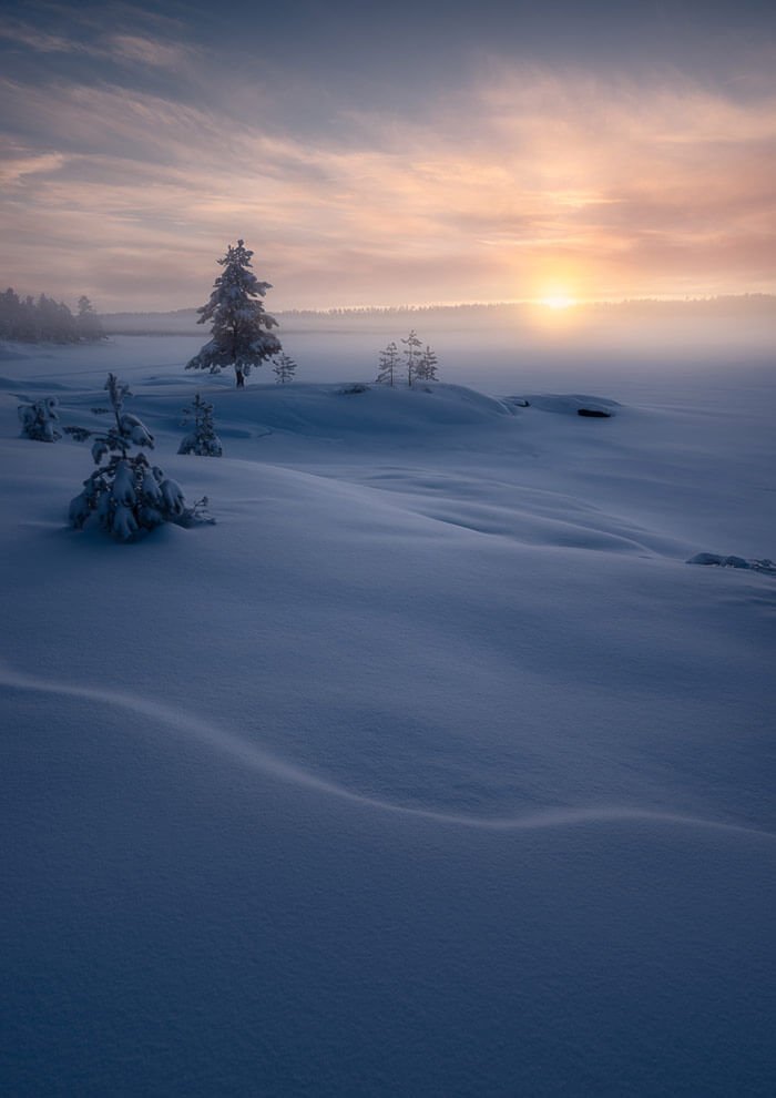 Sign of Wind by Ole Henrik Skjelstad